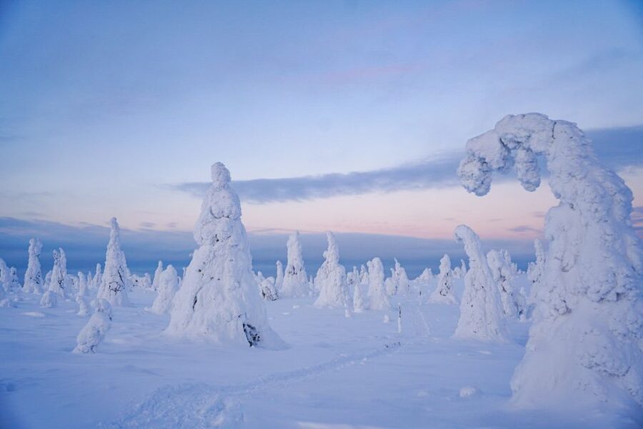 Rovaniemi: Riisitunturi National Park Day Trip with Lunch - What to Bring for Winter, and How to Stay Warm Without Fuss