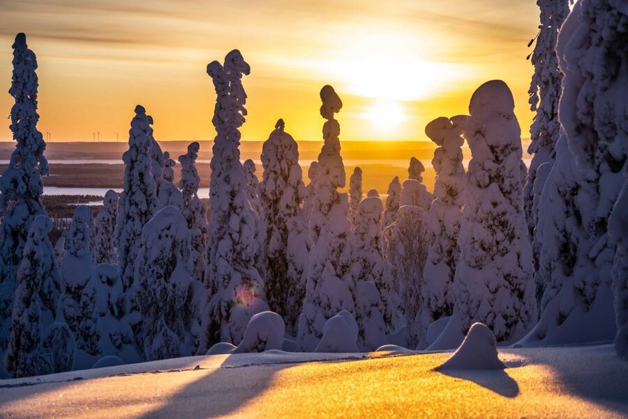 Rovaniemi: Riisitunturi National Park with Pro Photos & BBQ - Why Riisitunturi Feels Like a Different Planet