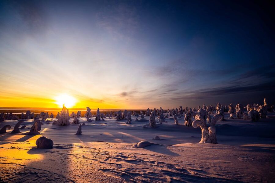 Rovaniemi: Riisitunturi National Park with Pro Photos & BBQ - Photo Stops, Pro Guidance, and Getting Real Keepsakes