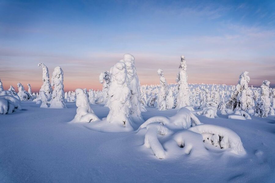 Rovaniemi: Riisitunturi National Park with Pro Photos & BBQ - Door-to-View Logistics From Rovaniemi