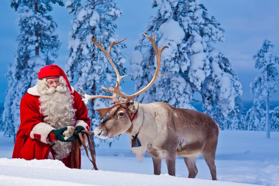Rovaniemi: Santa Claus Village and Arctic Circle - Who This Tour Fits Best (And Who Should Skip It)