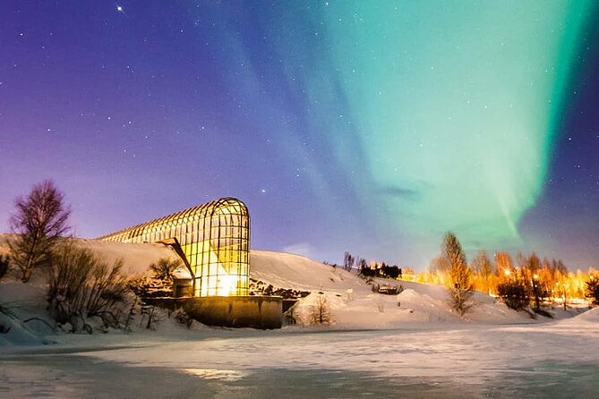 Rovaniemi Santa Claus Village Husky Reindeer Farm Arctic Museum - A 7-hour loop that hits the big Rovaniemi buttons