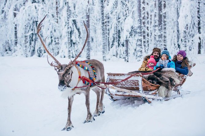 Rovaniemi Santa Claus Village Husky Reindeer Farm Arctic Museum - Price and value: what you are really paying for