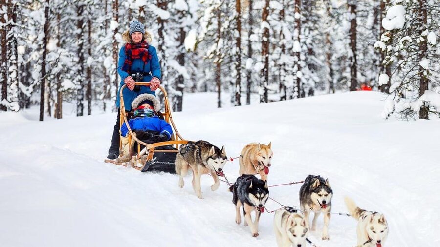 Rovaniemi: Santa Claus Village + Husky & Reindeer Sled Ride - Postcards, Photos, and Free Time to Shop for Real Souvenirs