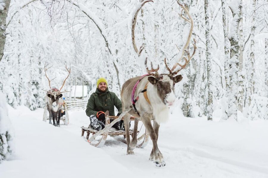 Rovaniemi: Santa Claus Village + Husky & Reindeer Sled Ride - Santa Claus Village: Meeting Santa at His Arctic Circle Home