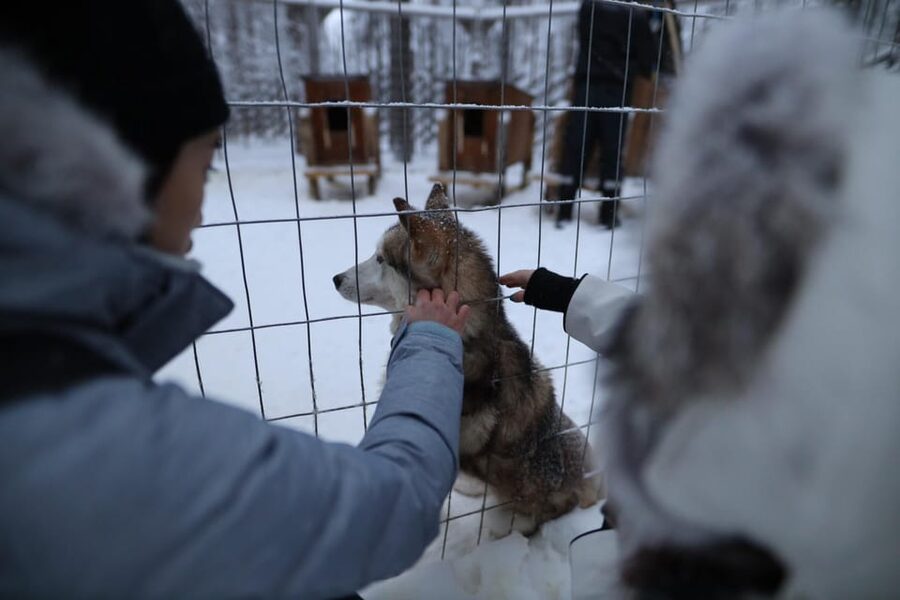Rovaniemi: Santa Claus Village Tour Huskies & Reindeer ride - Key highlights I’d plan around