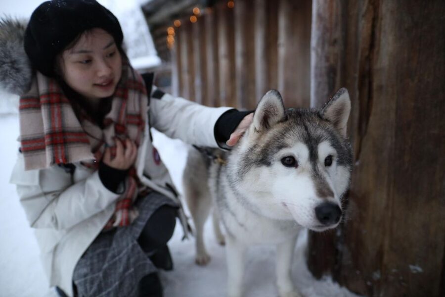 Rovaniemi: Santa Claus Village Tour Huskies & Reindeer Visit - Santa Claus Village, Huskies, and Reindeer in One 4.5-Hour Ride