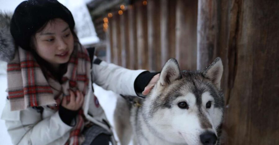 Rovaniemi: Santa Claus Village Tour Huskies & Reindeer Visit - Inside Santa Claus Village, meet Santa and mail your postcard