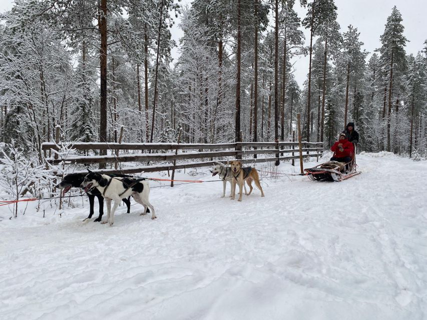 Rovaniemi: Santa Claus Village Tour Huskies & Reindeer Visit - Practical tips for a smoother Santa, huskies, reindeer day