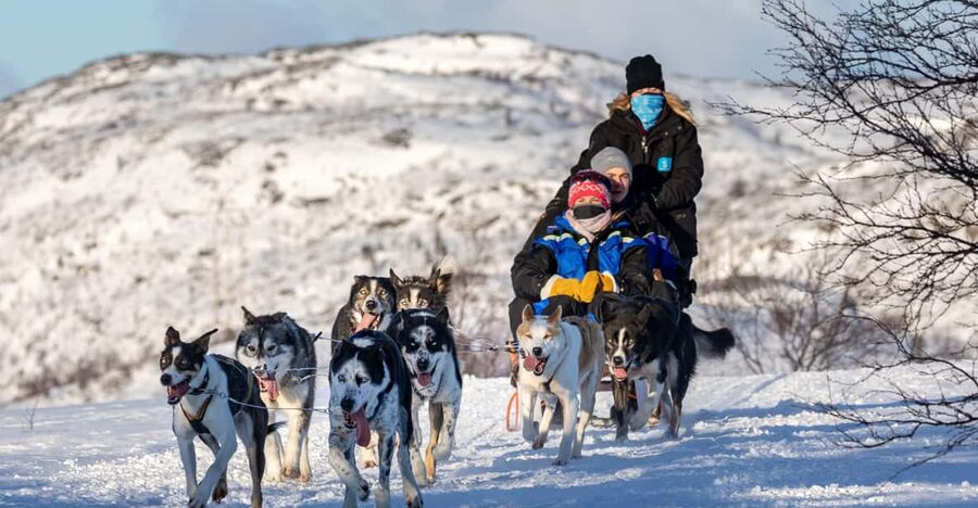 Rovaniemi: Santa's Village, Husky, & Reindeer Sled Ride - A tight, friendly combo of Santa plus sled rides
