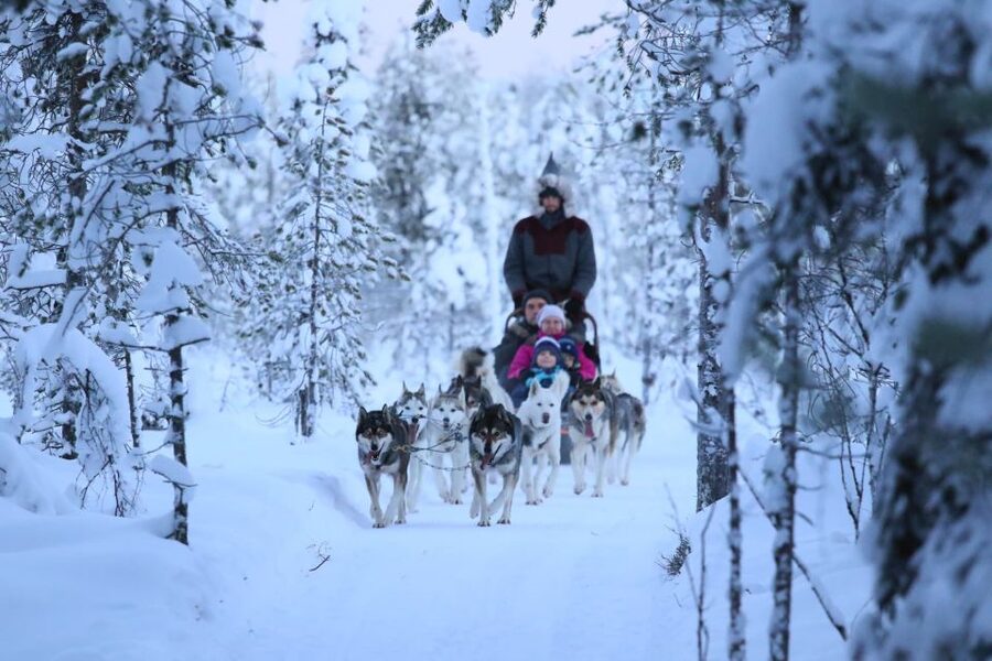 Rovaniemi: Self-Drive Husky Sleigh Ride Adventure - Warm-up time inside a kota or yurt, plus husky knowledge that sticks