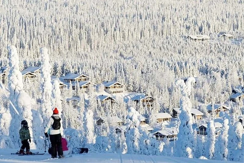 Rovaniemi: Slalom and Alpine Skiing - Ski levels, including kids and nervous first-timers