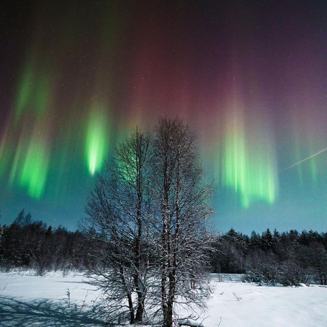 Rovaniemi: Small Group Aurora Hunt-full money back guarantee - Outside viewing time and why multiple stops can matter