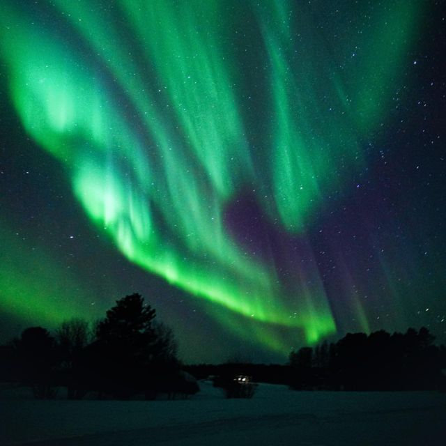Rovaniemi: Small Group Aurora Hunt-full money back guarantee - Photos in the cold, plus what you should know about the results