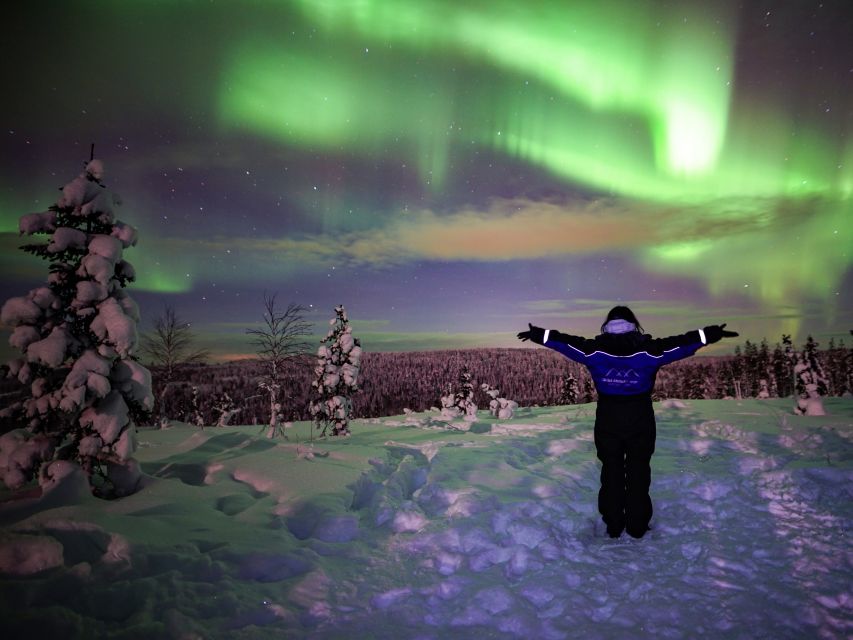 Rovaniemi: Small-Group Northern Lights Wilderness Tour - How the night starts: pickup, meeting point, and getting to darkness