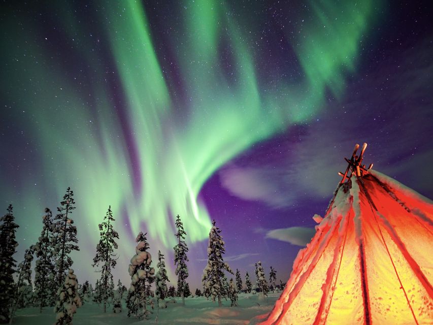 Rovaniemi: Small-Group Northern Lights Wilderness Tour - Professional Aurora photos: when you get them and why they help