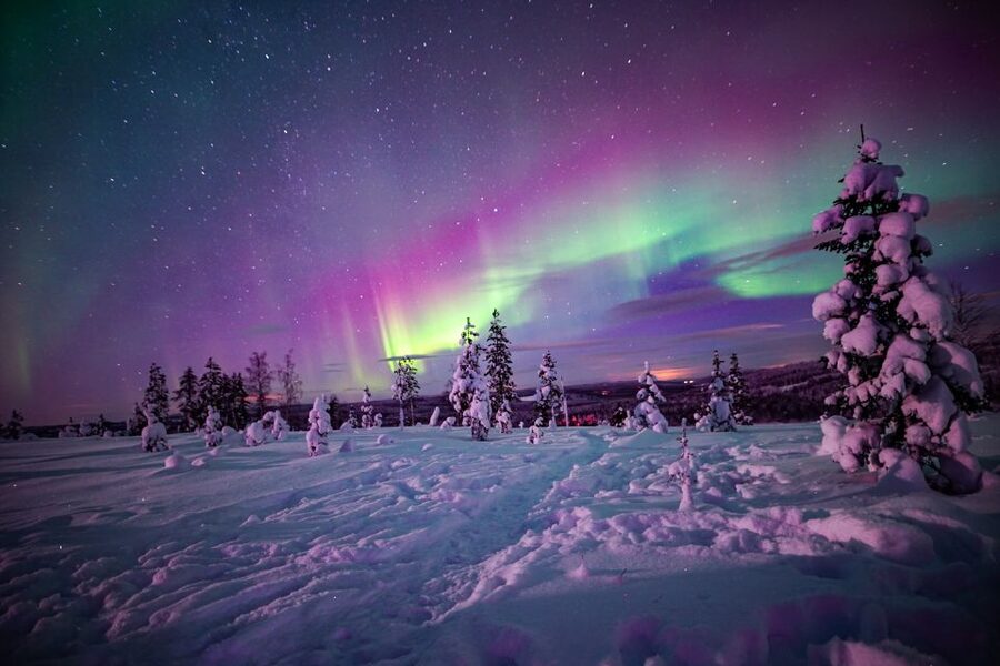 Rovaniemi: Small-Group Northern Lights Wilderness Tour - Price and value: what $136 buys in a 4-hour Arctic night