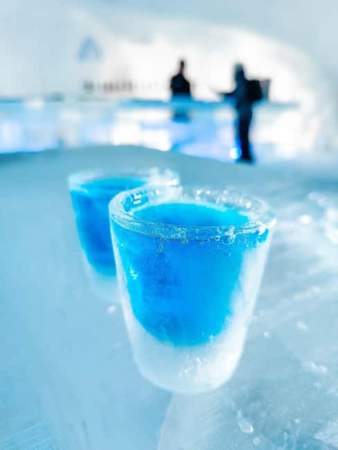 Rovaniemi: Snow Hotel Tour and Ice Restaurant Dinner - Who should book this SnowHotel tour and Ice Restaurant dinner