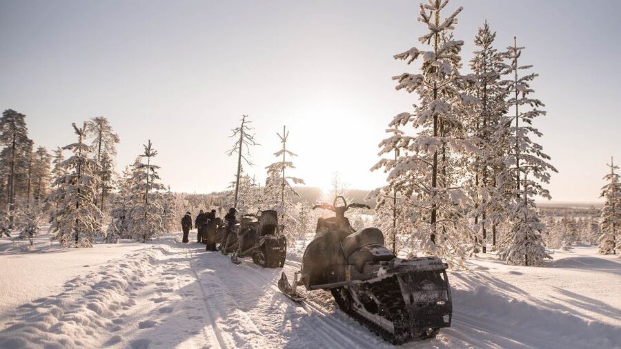 Rovaniemi: Snowmobile Adventure Tour for Adults Only - Single Rider vs Two Adults Per Snowmobile