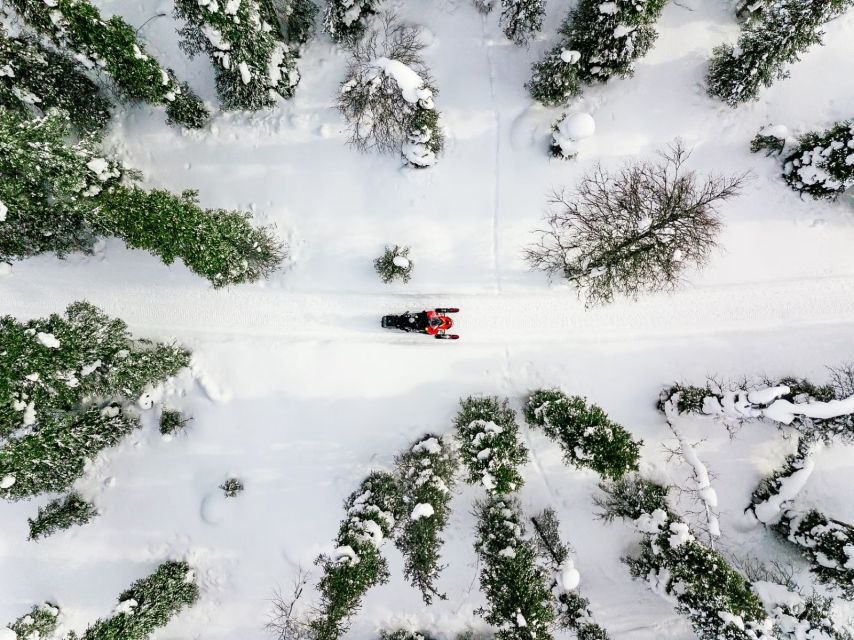 Rovaniemi: Snowmobile Safari Adventure - Why Rovaniemi snowmobile safari rides feel so “Lapland” in the first 10 minutes