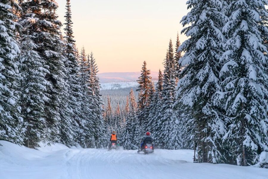 Rovaniemi: Snowmobile Safari Adventure - Who should book this snowmobile safari, and who should skip it