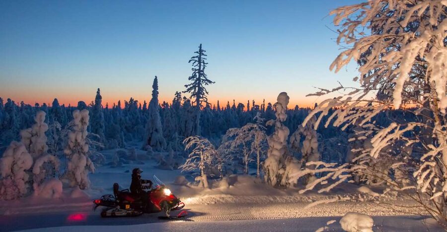 Rovaniemi: Snowmobile Safari & Campfire Evening Escape - Price and value: is $175 per person fair for what you get?