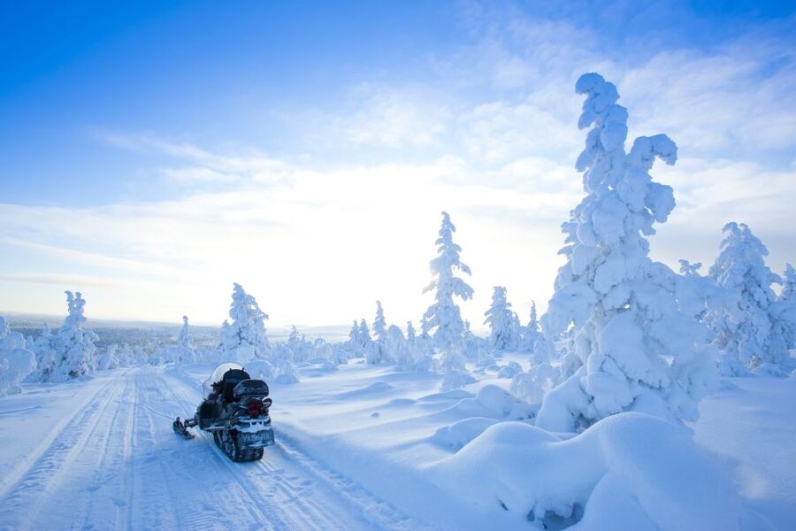 Rovaniemi: Snowmobile Safari in the Arctic Circle - Photo stops that actually help you capture the day