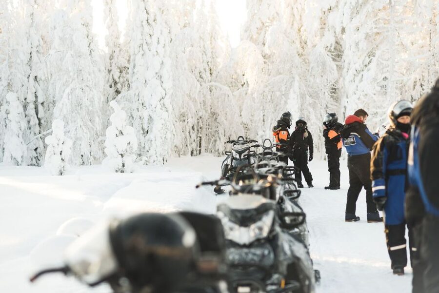 Rovaniemi: Snowmobile Safari into the Arctic Circle Forest - What the Ride Feels Like Through the Arctic Forest