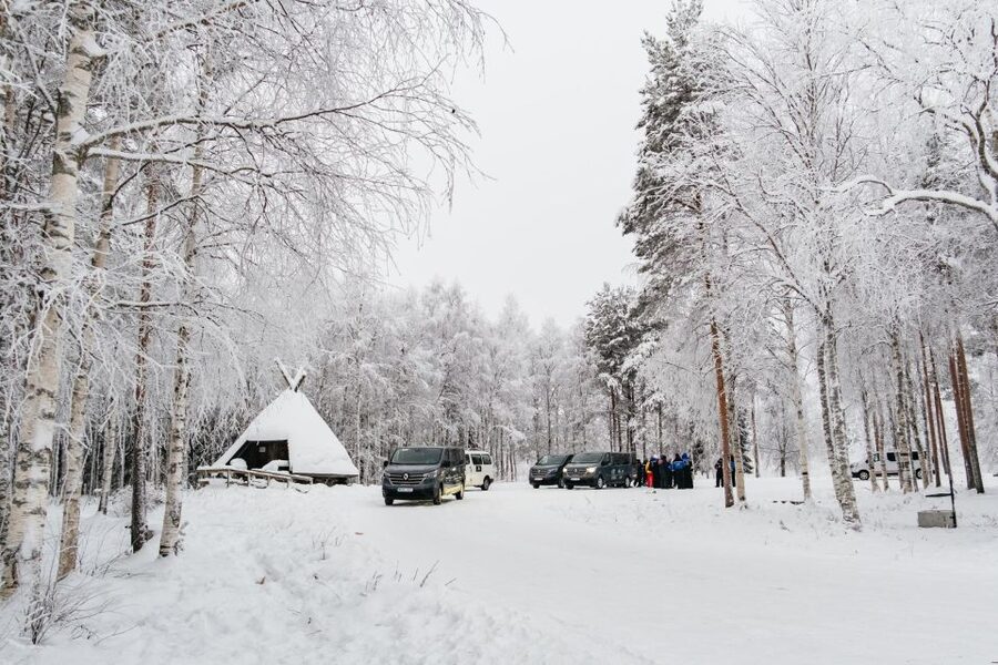 Rovaniemi: Snowmobile Safari, Reindeer & Husky Sleigh Ride - Snowmobile Safari Through Frozen Lake and Forest: Where the Day Turns Fast