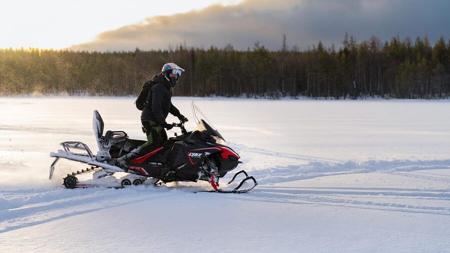 Rovaniemi: Snowmobile Safari, Reindeer & Husky Sleigh Ride - Price and Value for About $281: What You Are Really Buying