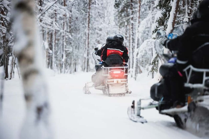 Rovaniemi: Snowmobile Tour and Reindeer Experience - Who This Tour Fits Best in Lapland