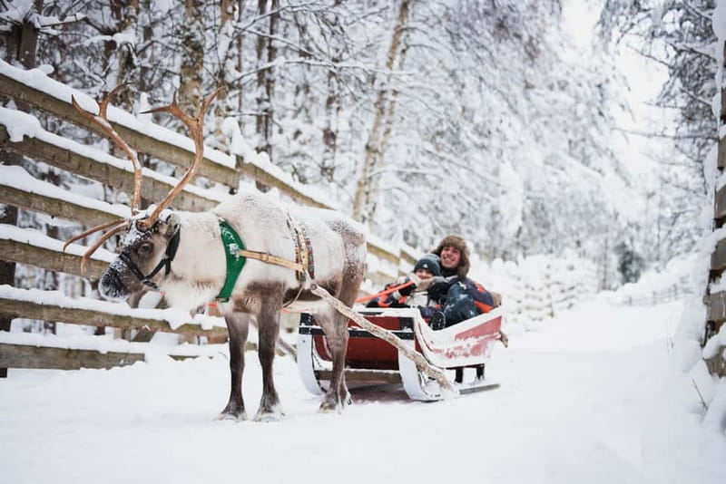 Rovaniemi: Snowmobile Tour and Reindeer Experience - Reindeer Manor: The 500m Sled Ride and Herding Lessons