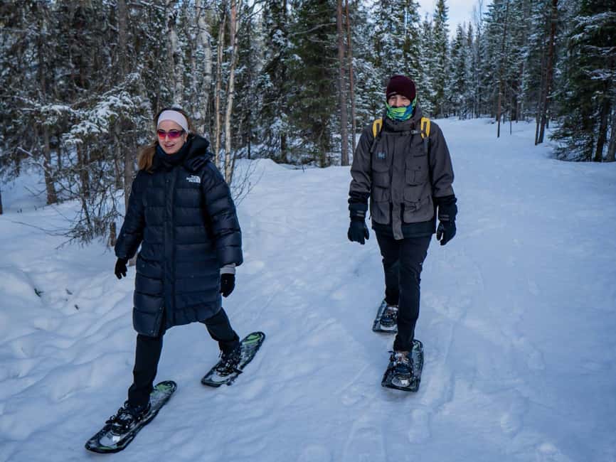 Rovaniemi: Snowshoe Adventure at Vikaköngäs & Barbeque - Key points before you go