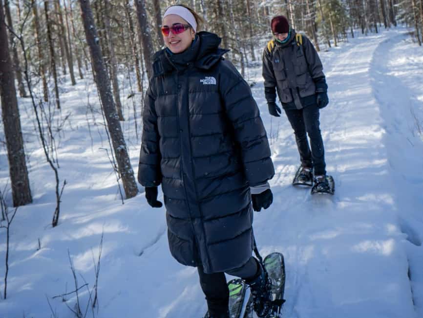 Rovaniemi: Snowshoe Adventure at Vikaköngäs & Barbeque - What the Guide Actually Helps You See on This Route