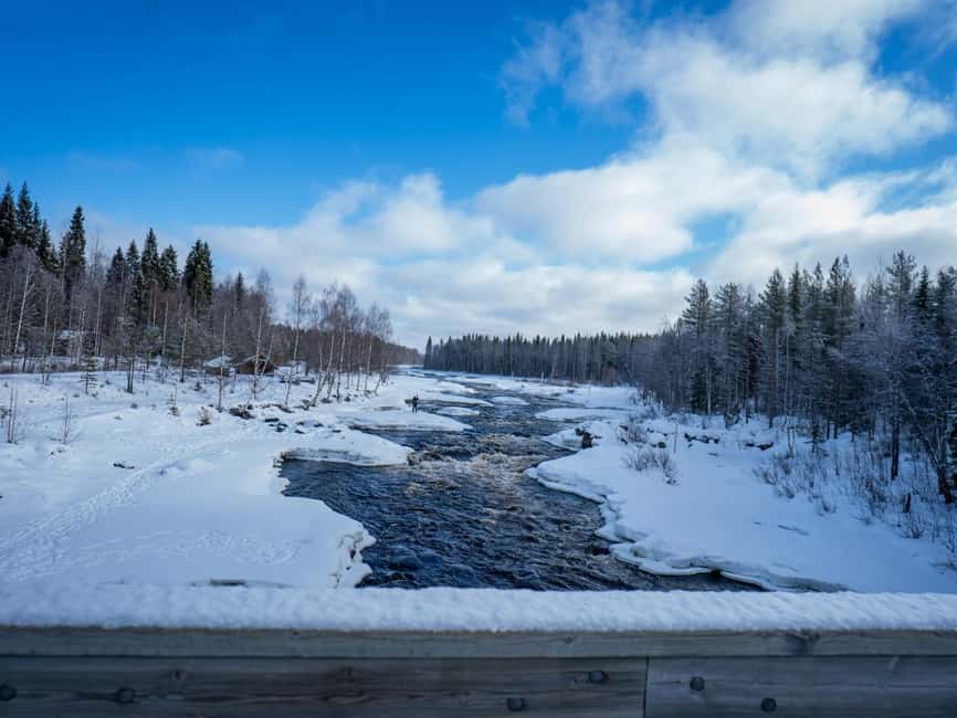 Rovaniemi: Snowshoe Adventure at Vikaköngäs & Barbeque - Price and Value: Is $124 a Good Deal