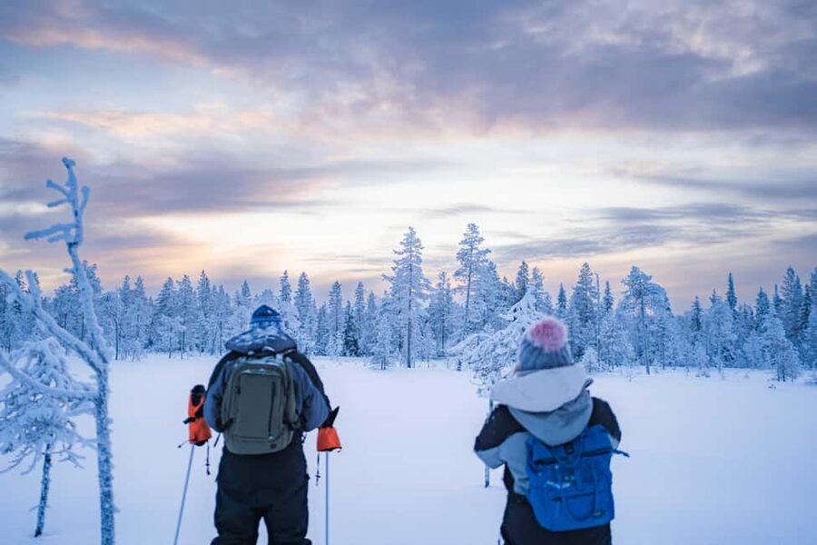Rovaniemi: Snowshoe Wilderness Adventure - How This Snowshoe Photo Adventure Works in Rovaniemi