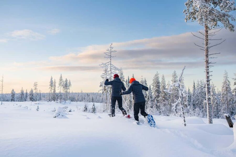 Rovaniemi: Snowshoe Wilderness Adventure - Snowshoeing Through Deep Snow, Then Practicing How You See
