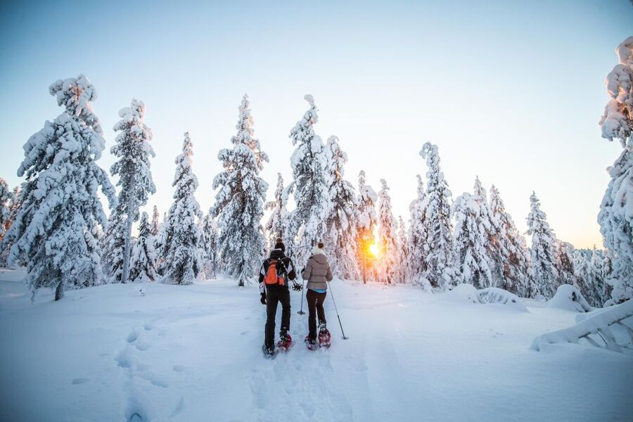 Rovaniemi: Snowshoe Wilderness Adventure - Photography Coaching That Turns Cold Weather Into Better Shots