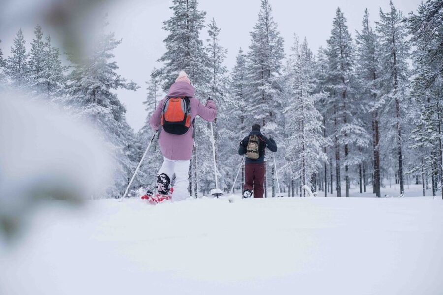 Rovaniemi: Snowshoe Wilderness Adventure - Timing, Duration, and What the 3 Hours Feels Like