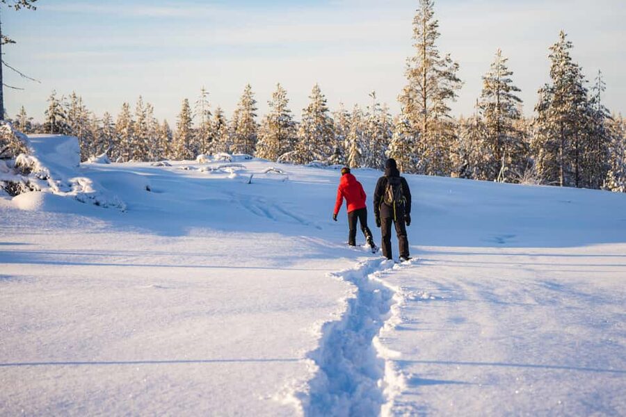 Rovaniemi: Snowshoe Wilderness Adventure - Price and Value: What You Are Paying For
