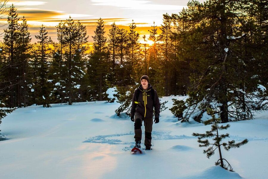 Rovaniemi: Snowshoe Wilderness Adventure - Who This Tour Suits Best (And Who Should Skip It)