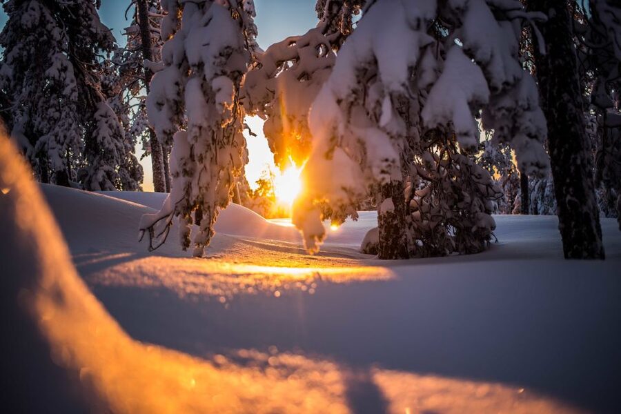 Rovaniemi: Snowshoe Wilderness Adventure - Getting There and Staying Warm Before You Start