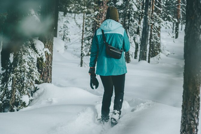 Rovaniemi: Snowshoeing in a magical snowy forest - Why Snowshoeing Near Rovaniemi Works So Well