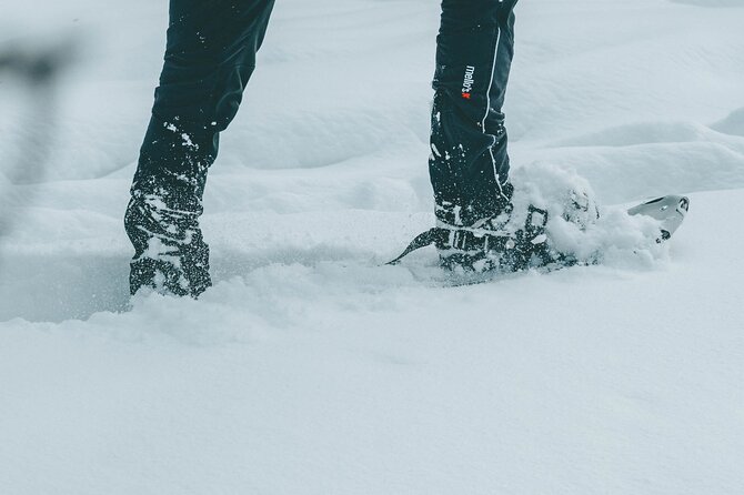 Rovaniemi: Snowshoeing in a magical snowy forest - Getting There: Pickup, Small Groups, and a Simple Start