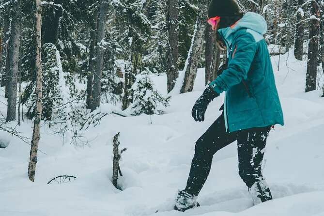 Rovaniemi: Snowshoeing in a magical snowy forest - What the Guide Adds: Nature Lessons and Local Culture