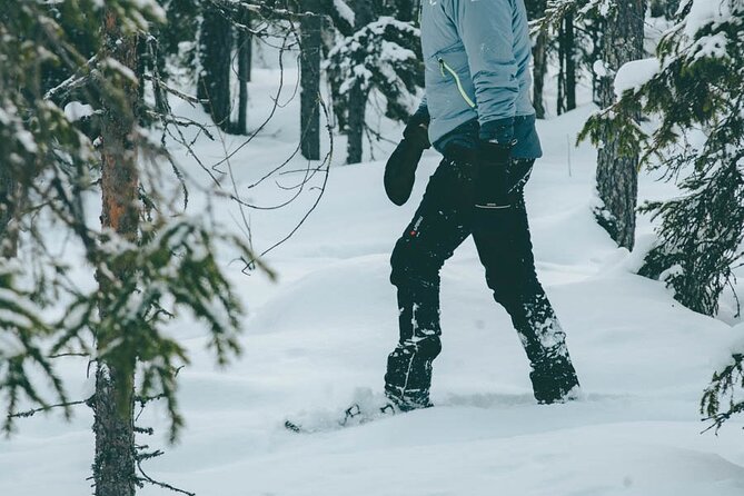 Rovaniemi: Snowshoeing in a magical snowy forest - Who This Snowshoe Trip Fits Best