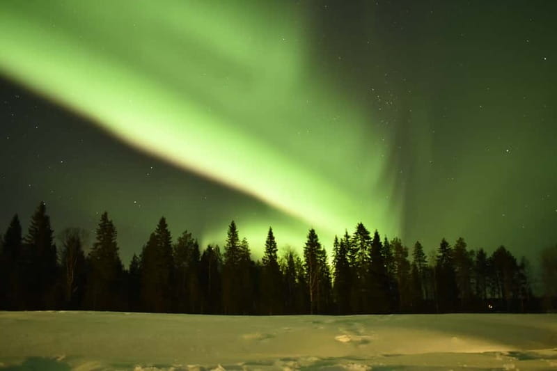 Rovaniemi: Snowtrain to Northern Lights Camp - Riding the Heated Snowtrain Into the Arctic Night