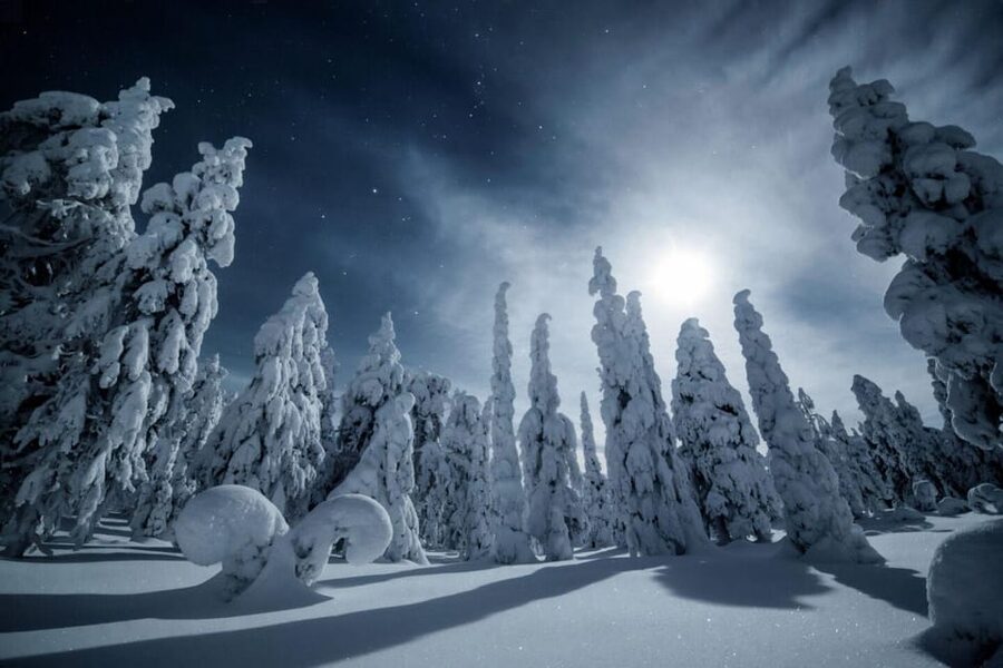 Rovaniemi: Snowy Forest Night Hike with Northern Lights - Key things you’ll remember