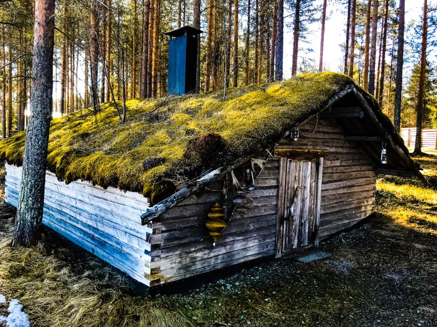 Rovaniemi: Summer Reindeer Farm Experience - Meet the Herd: Feeding, Velvet Antlers, and Calm Lapland Sounds