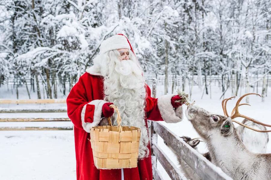 Rovaniemi: Tour to Santa Claus Village with Hotel Transfer - Meeting Santa Claus, what you actually do during the visit